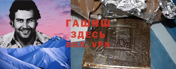 шишки Покачи