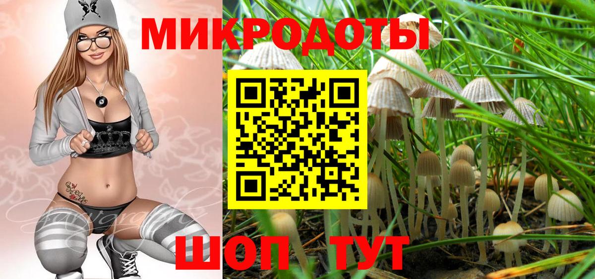 Владимир  Псилоцибиновые грибы GOLDEN TEACHER  Псилоцибиновые грибы MAGIC MUSHROOMS  цены наркотик  Вход с VPN 